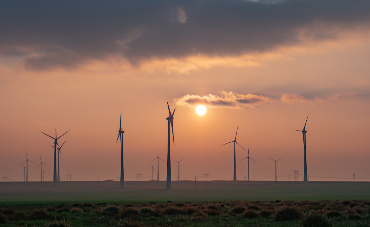 Windfarm offshore